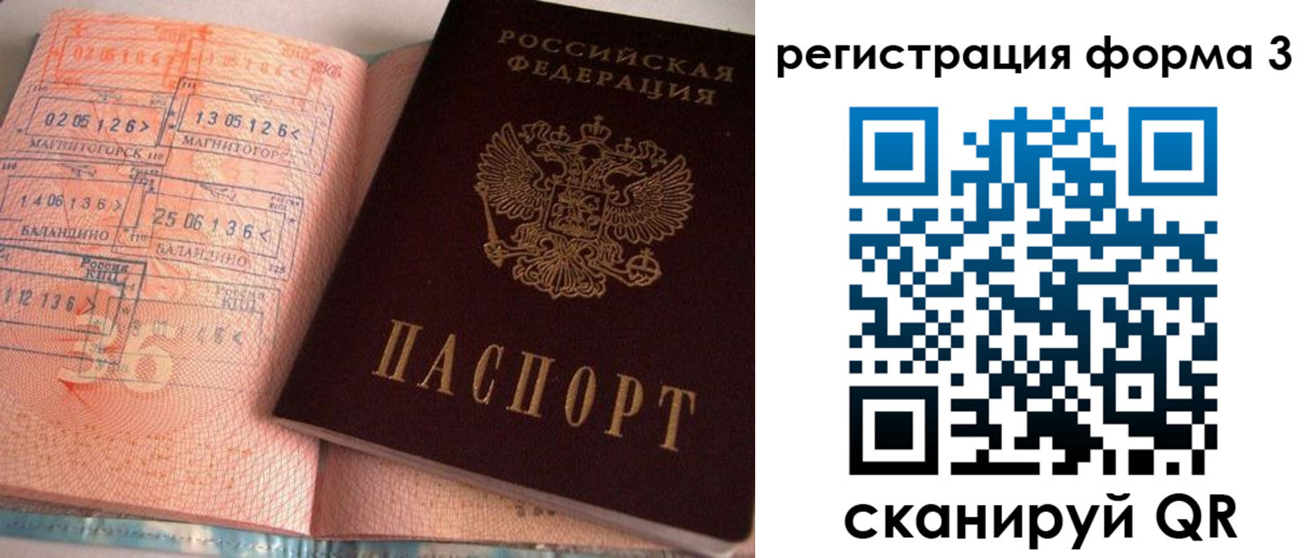 временная регистрация поиск в Псковской области
